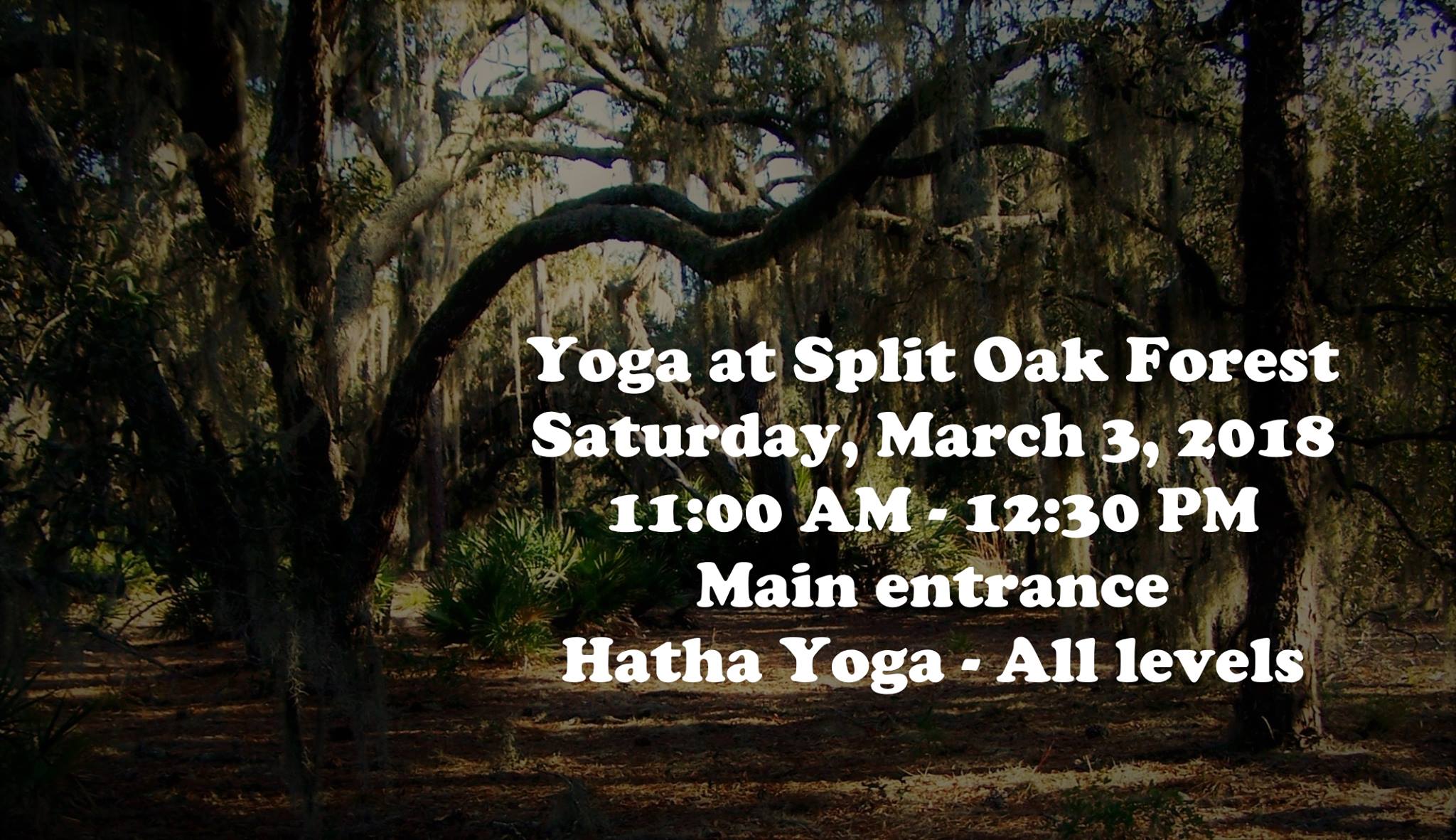2018-03-03_Yoga-at-Split-Oak