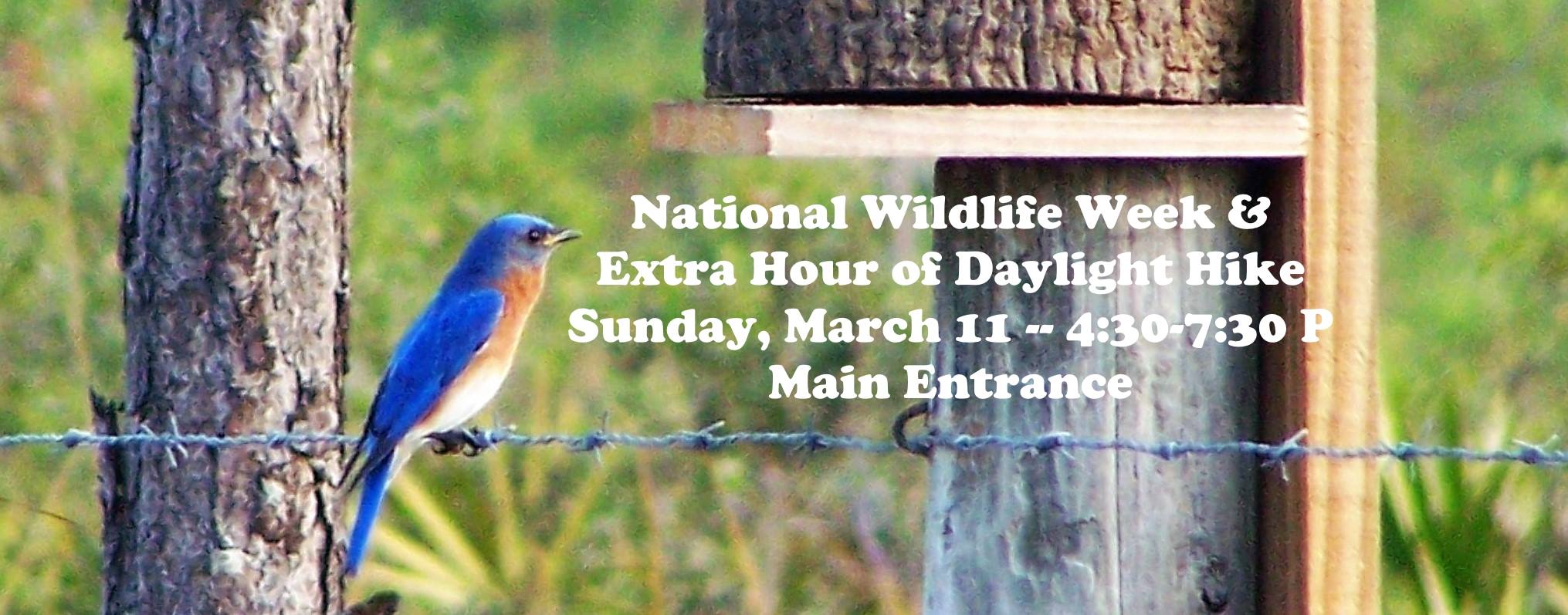 2018-03-11_National-Wildlife-Week-Hike